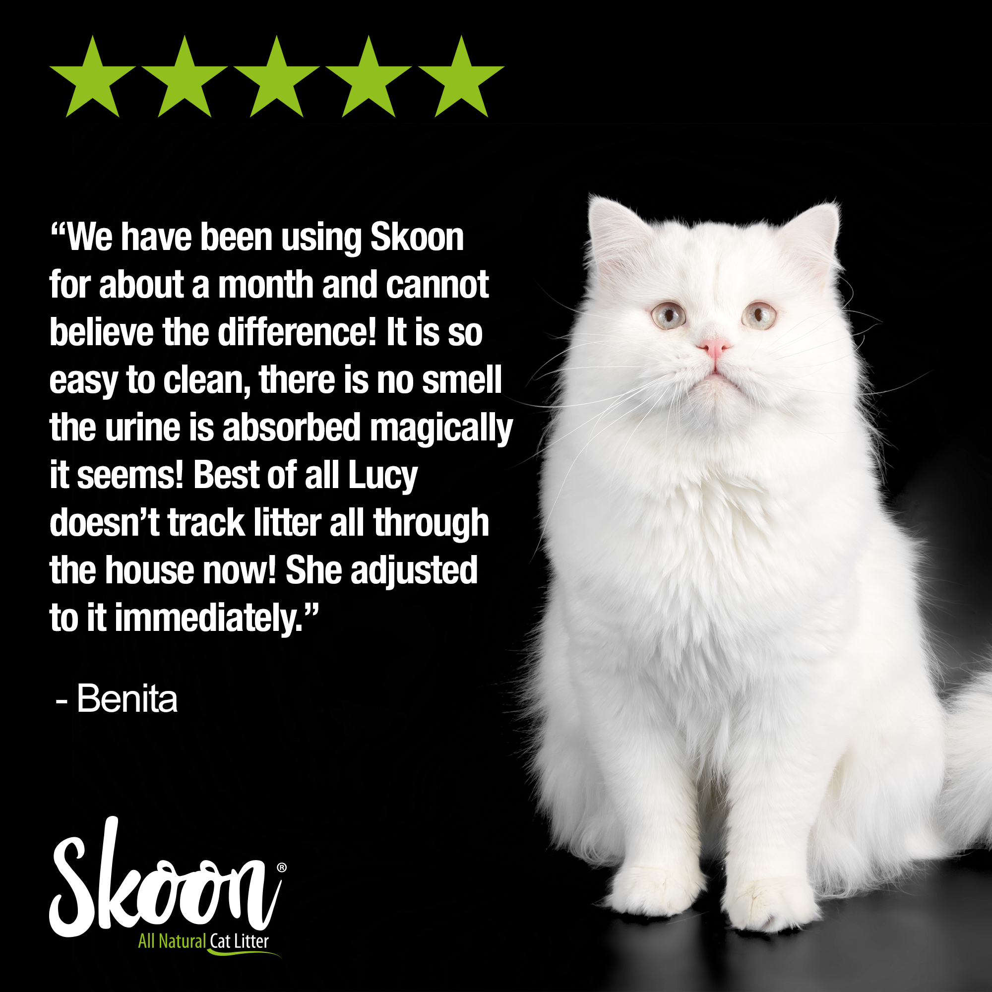 Skoon Original Cat Litter