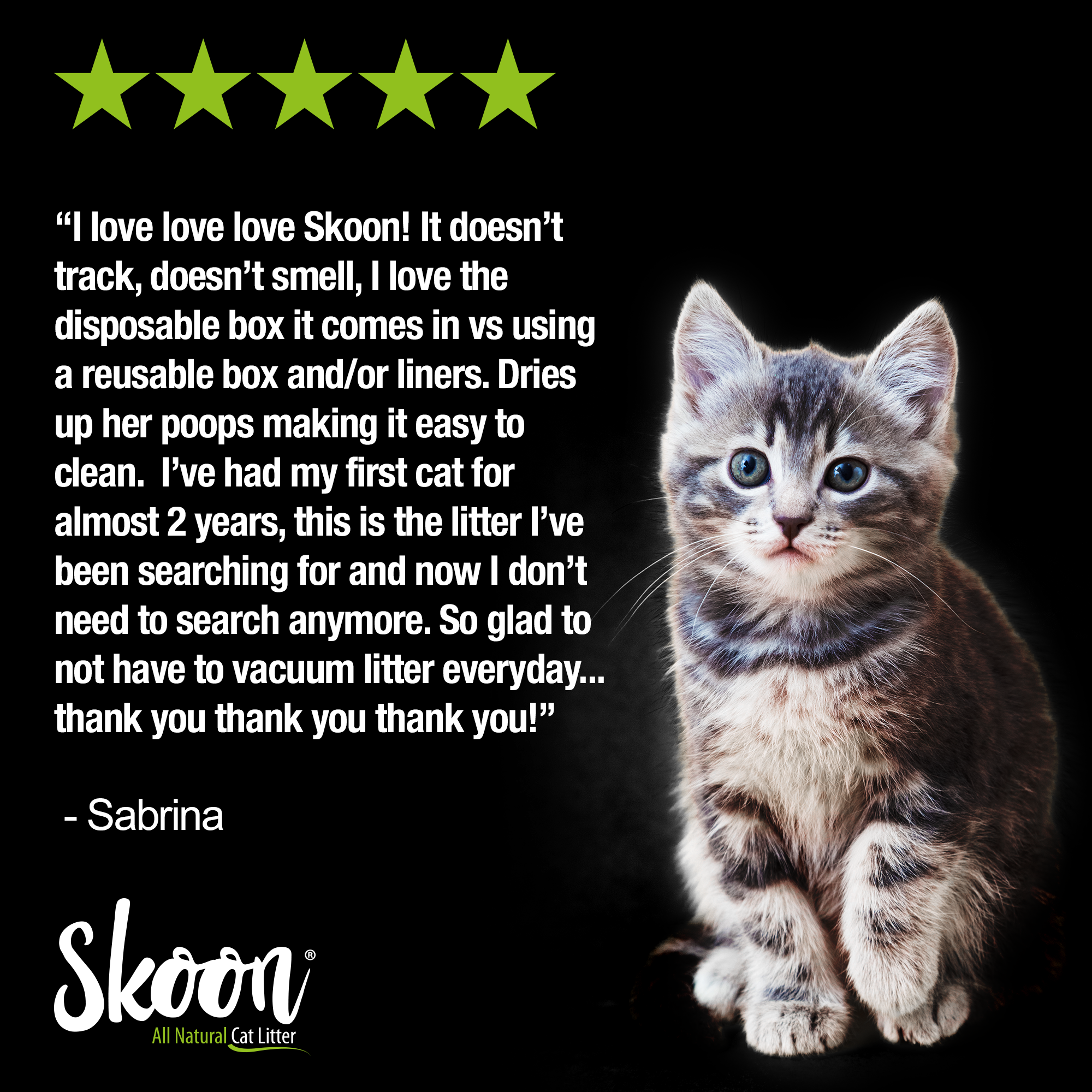 Skoon Cat Litter Disposable Box - 12 weeks