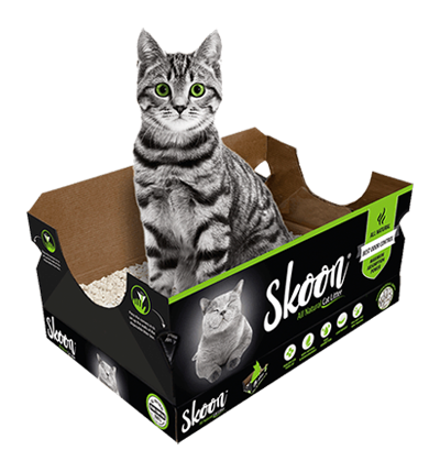 Cat litter skoon best sale