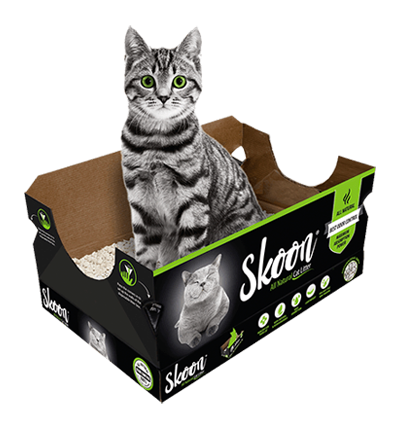 Skoon Cat Litter Disposable Box - 12 weeks